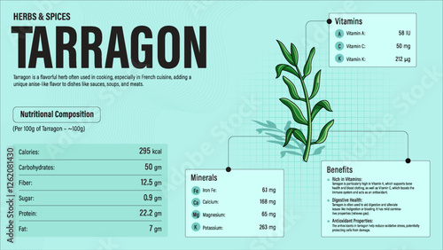 Tarragon Herb Nutrition Facts and Health Benefits–Detailed Vector Infographic for Healthy Eating and Wellness
