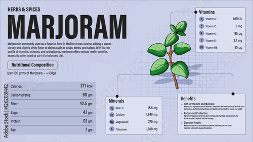 Marjoram Herb Nutrition Facts and Health Benefits–Detailed Vector Infographic for Healthy Eating and Wellness