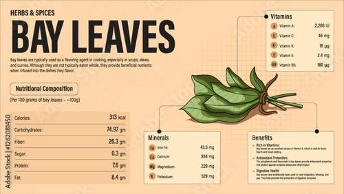 Bay Leaves Herb Nutrition Facts and Health Benefits–Detailed Vector Infographic for Healthy Eating and Wellness