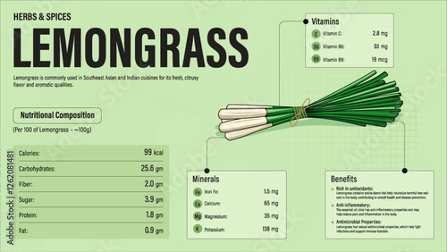 Lemongrass Herb Nutrition Facts and Health Benefits–Detailed Vector Infographic for Healthy Eating and Wellness