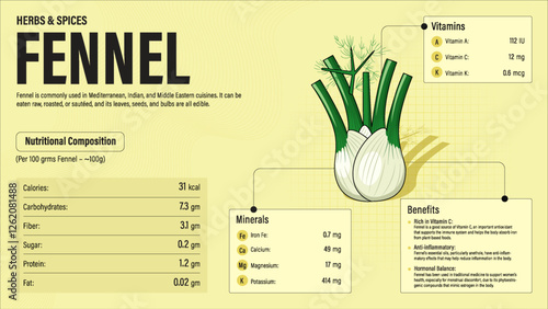 Fennel Herb Nutrition Facts and Health Benefits–Detailed Vector Infographic for Healthy Eating and Wellness