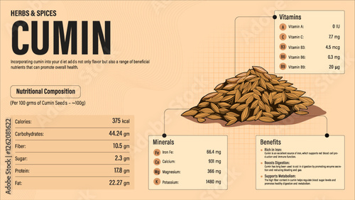 Cumin Herb Nutrition Facts and Health Benefits–Detailed Vector Infographic for Healthy Eating and Wellness