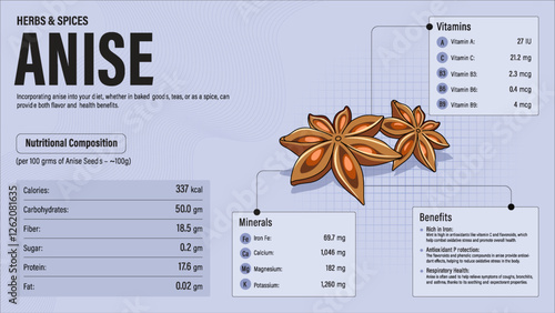 Anise Herb Nutrition Facts and Health Benefits–Detailed Vector Infographic for Healthy Eating and Wellness