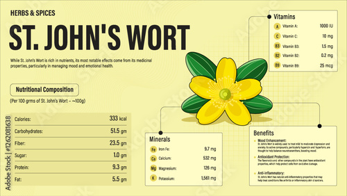 St. John's wort Herb Nutrition Facts and Health Benefits–Detailed Vector Infographic for Healthy Eating and Wellness