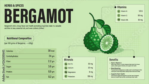 Bergamot Herb Nutrition Facts and Health Benefits–Detailed Vector Infographic for Healthy Eating and Wellness