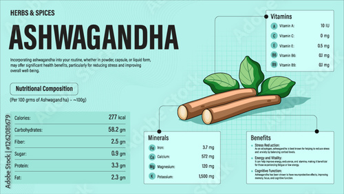 Ashwagandha Herb Nutrition Facts and Health Benefits–Detailed Vector Infographic for Healthy Eating and Wellness