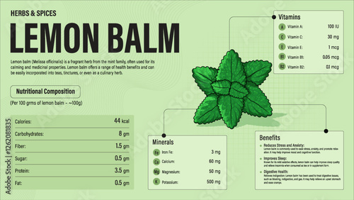 Lemon Balm Herb Nutrition Facts and Health Benefits–Detailed Vector Infographic for Healthy Eating and Wellness