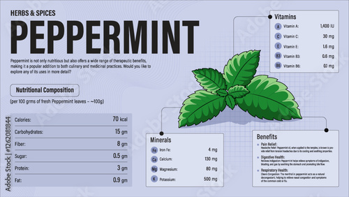 Peppermint Herb Nutrition Facts and Health Benefits–Detailed Vector Infographic for Healthy Eating and Wellness