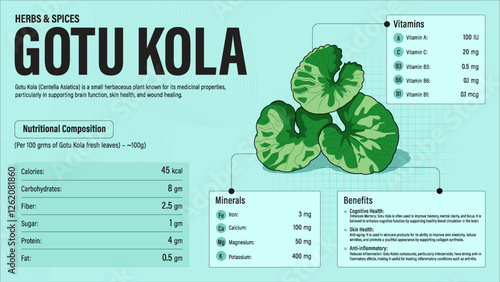 Gotu Kola Herb Nutrition Facts and Health Benefits–Detailed Vector Infographic for Healthy Eating and Wellness