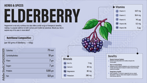 Elderberry Herb Nutrition Facts and Health Benefits–Detailed Vector Infographic for Healthy Eating and Wellness