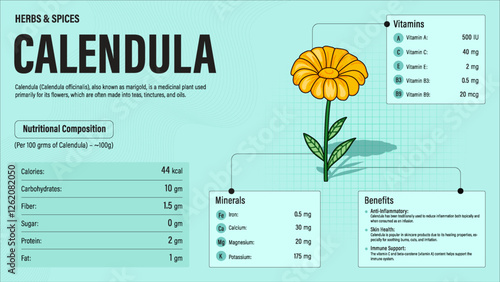 Calendula Herb Nutrition Facts and Health Benefits–Detailed Vector Infographic for Healthy Eating and Wellness
