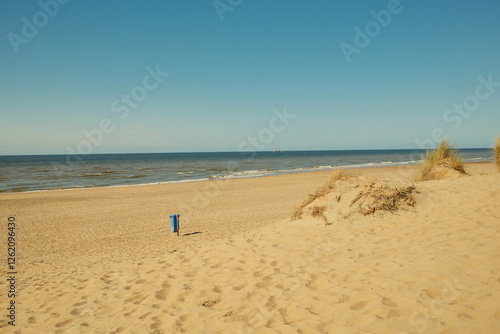 Fototapeta Naklejka Na Ścianę i Meble -  Sandy beach meeting calm ocean under blue sky with grassy dunes