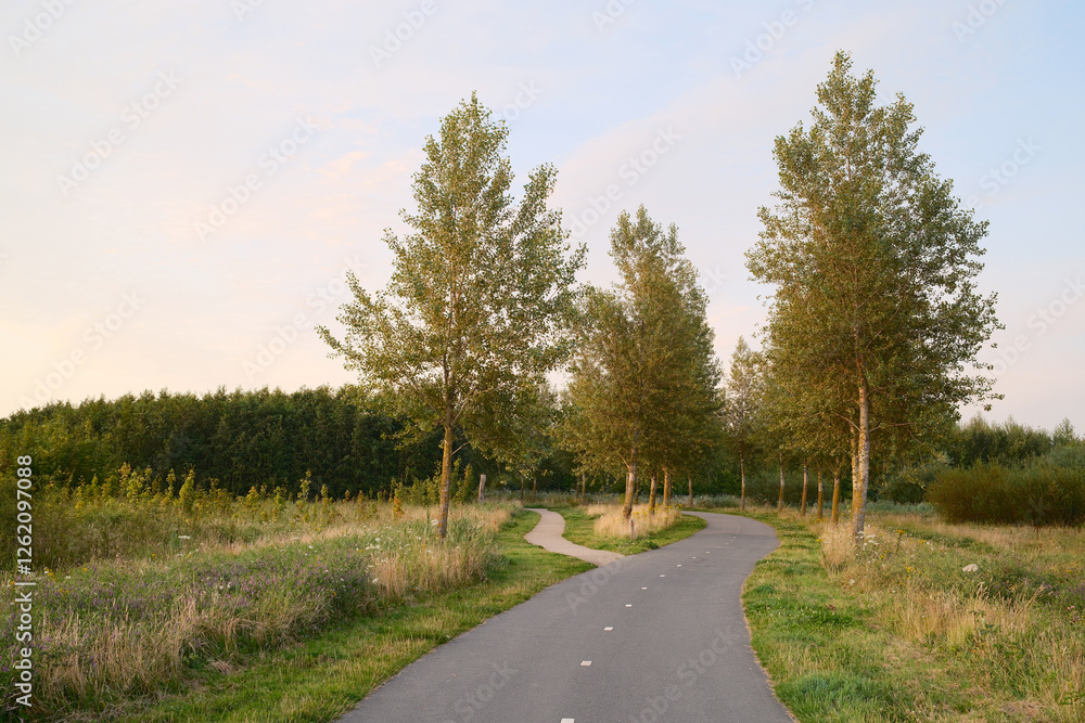 Fototapeta premium Winding bicycle path through green meadow at sunset