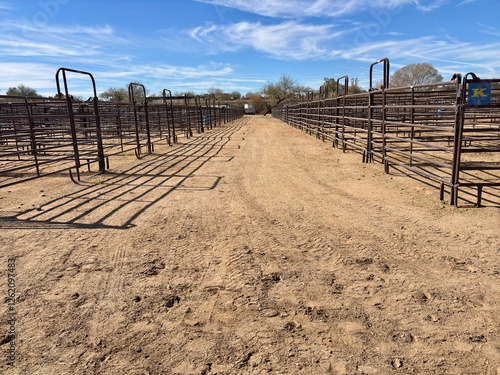 Empty livestock pens with metal fencing and dirt pathways photo