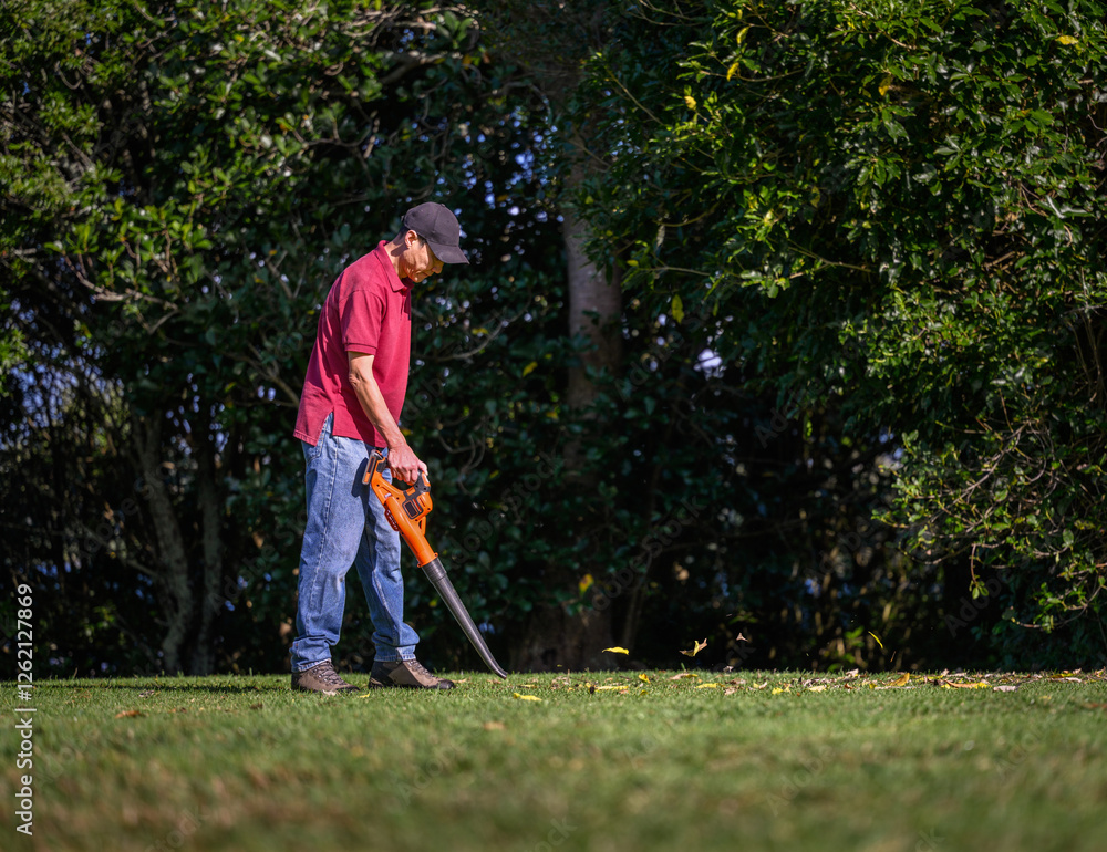 Man cleaning fallen leaves using a leaf blower. Auckland.