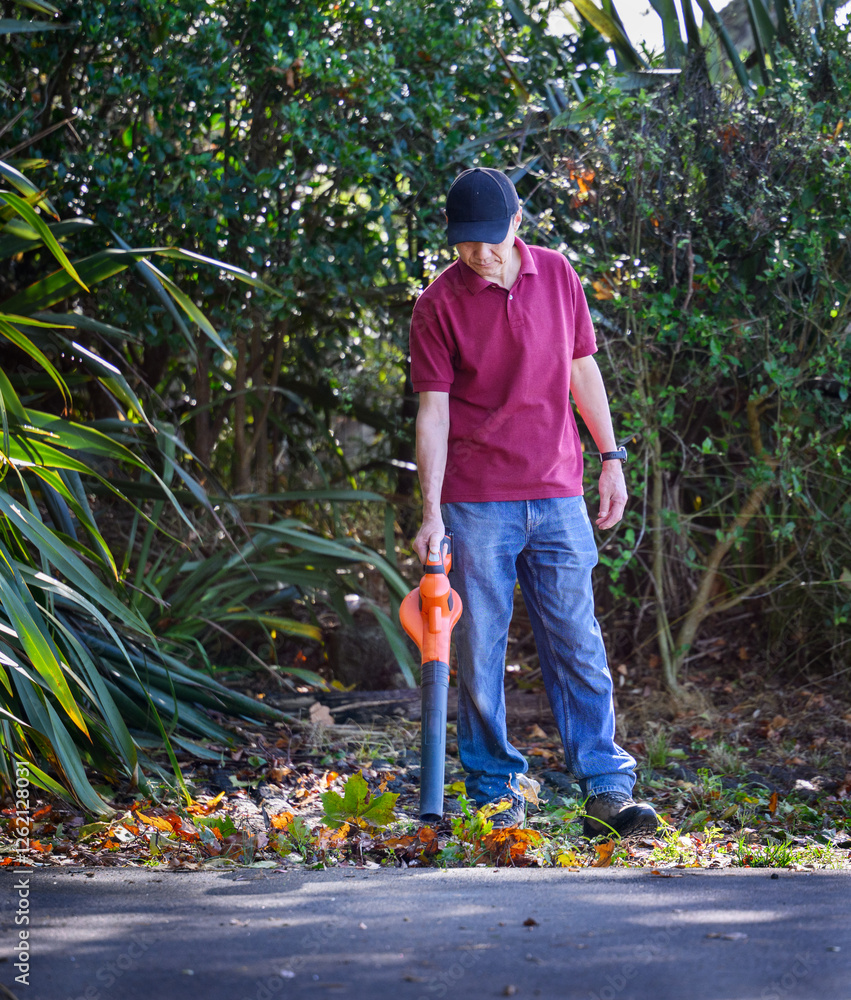 Man cleaning fallen autumn leaves using a leaf blower along the driveway.