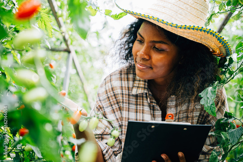 Examining cherry tomatoes in a greenhouse a millennial agronomist multitasks as quality inspector recording meticulous data on a clipboard. Portrait of meticulous farmer ensuring top-quality produce. photo