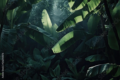 Lush greenery envelops scene, sunlight filters through dense fol photo