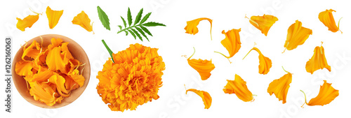 fresh marigold or tagetes erecta flower isolated on white background with full depth of field. Top view. Flat lay
