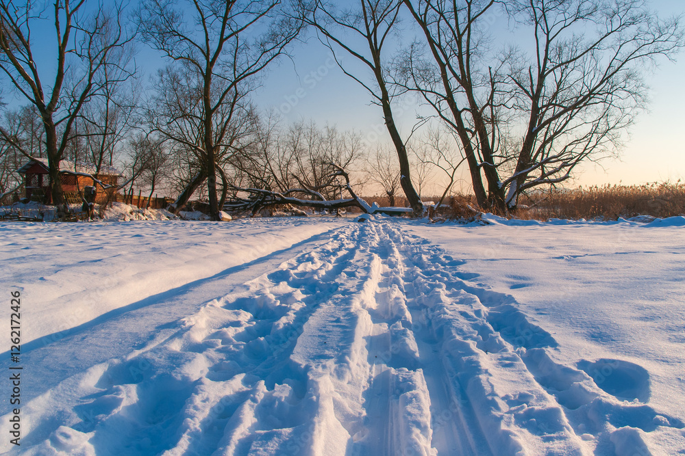 Zima w Narwiańskim Parku Narodowym - Podlasie, Polska