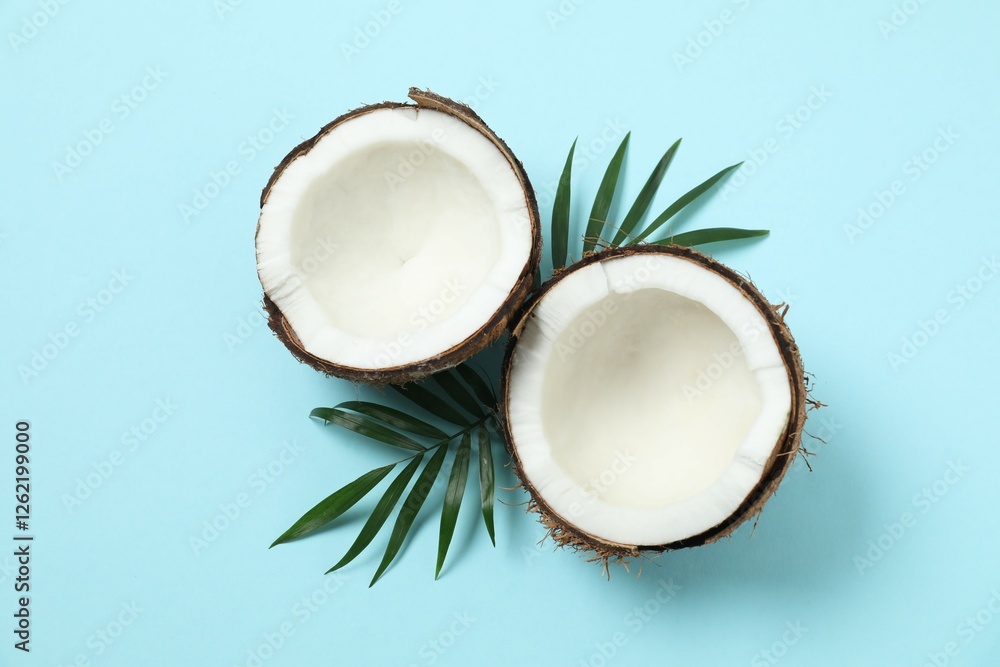 Coconut on color background, top view