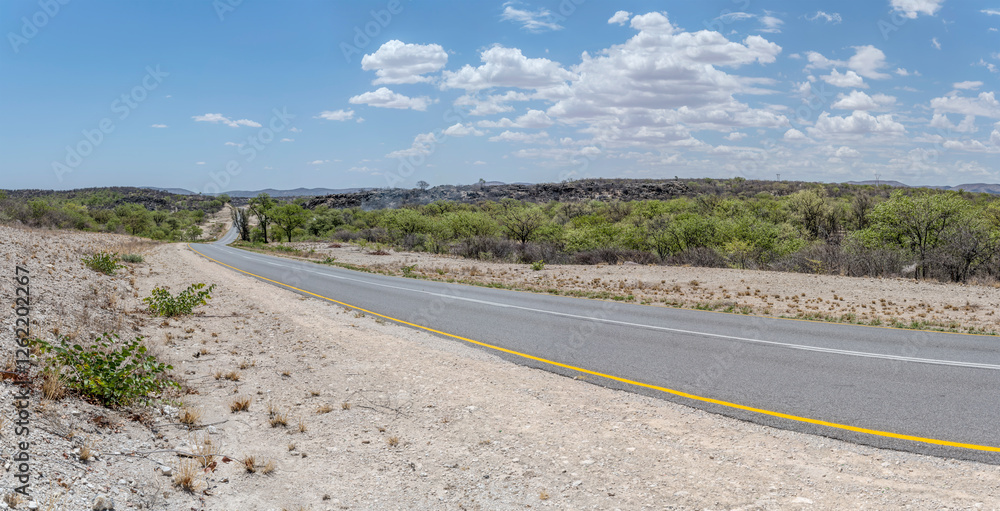 road C29 in green countryside, near Ozongaka, Namibia