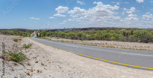 Obraz na płótnie road C29 in green countryside, near Ozongaka, Namibia w salonie