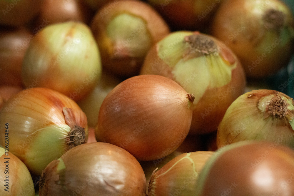 Onions for sale in the market Onions for sale in the market