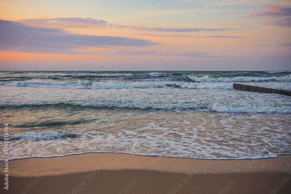 Obraz premium the shores of the Baltic Sea