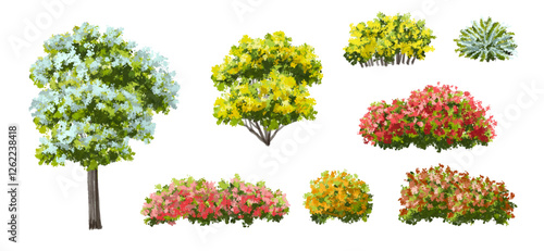 Vector of Sakura tree or blooming  side view isolated on white background ,watercolor tree elevation for landscape concept,environment scene,eco design,blossom garden for spring