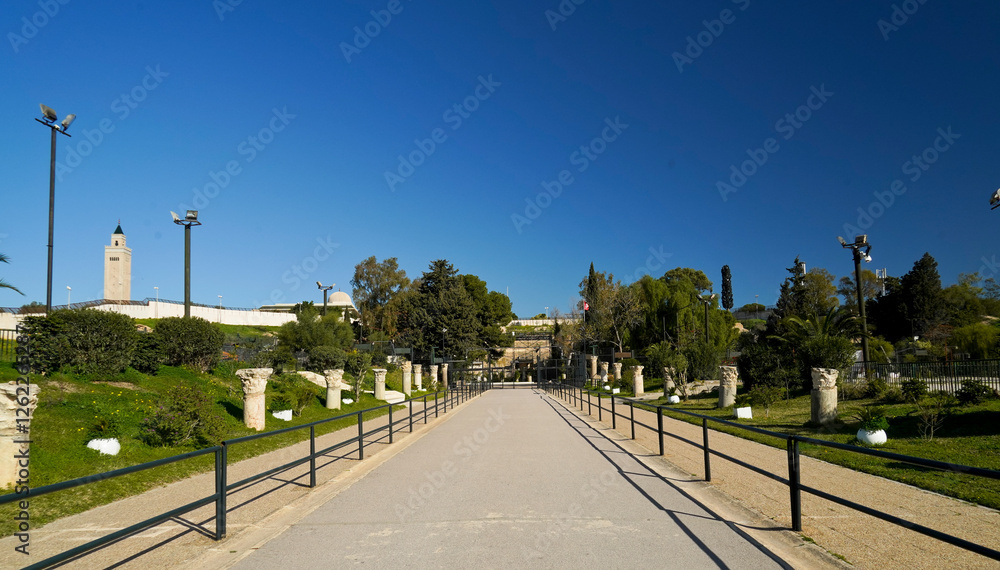 Il complesso archeologico con i resti del Teatro Romano, Cartagine. TUNISIA, Area archeologica di Cartagine. Cartagine, Tunisia, Nord Africa
