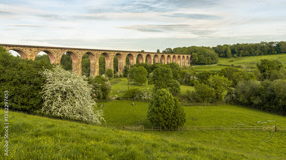 Fototapeta premium Cefn Mawr Viaduct near Pentre, Wales, UK