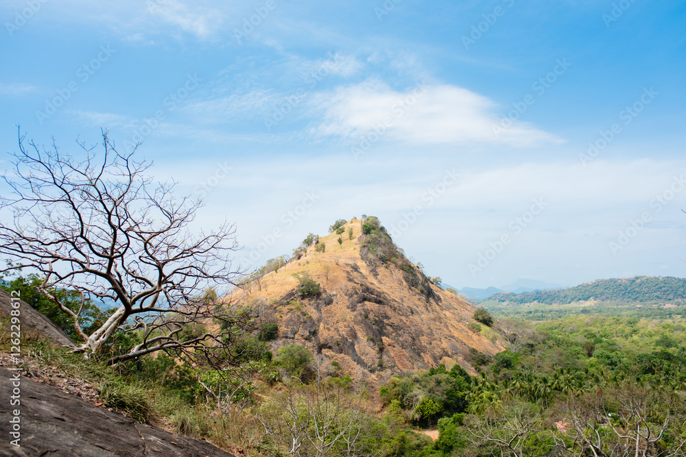 Trees and distant mountains, against a blue sky background. Trees and distant mountains, against a blue sky background.