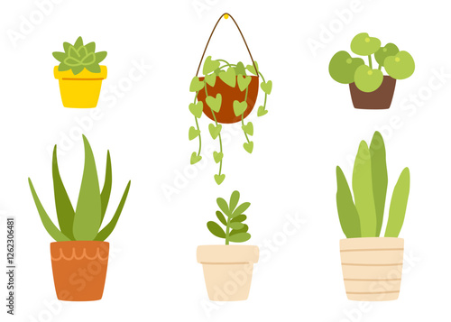 Set of isolated plants in the pots. Cozy domestic plants collection.