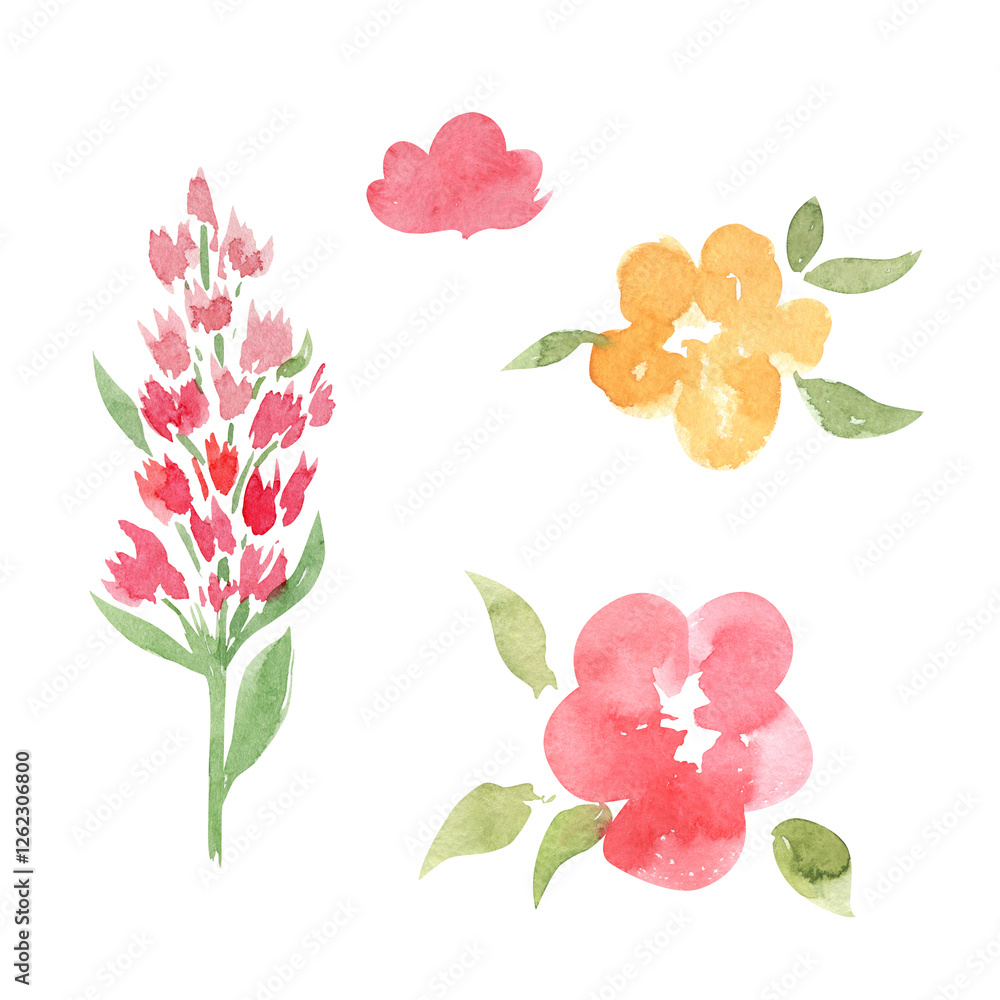 Fototapeta premium Abstract flowers watercolor illustration set. Hand drawn watercolor meadow flowers on white background. Florals for invitation or greeting card..