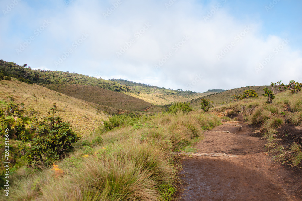 Vast plains, grasslands, and sky. Vast plains, grasslands, and sky.