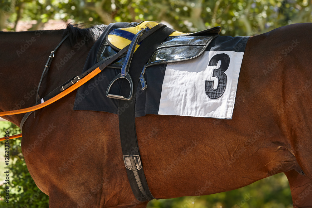 Race horse and horseman's shawl detail. Purebred in the hippodrome. Turf
