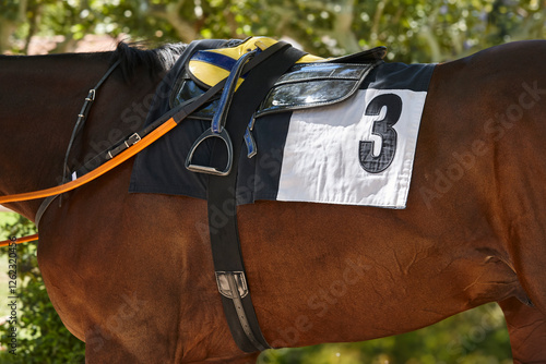 Obraz na płótnie Race horse and horseman's shawl detail. Purebred in the hippodrome. Turf w salonie