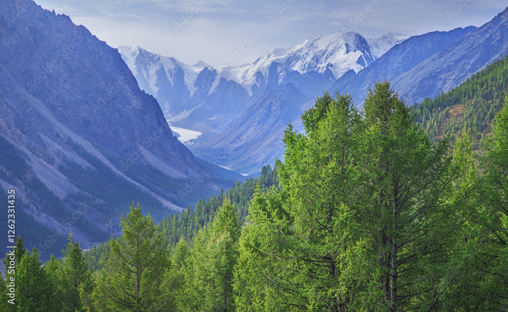 Obraz premium Mountain scenery, greenery and snow on the peaks, summer traveling 