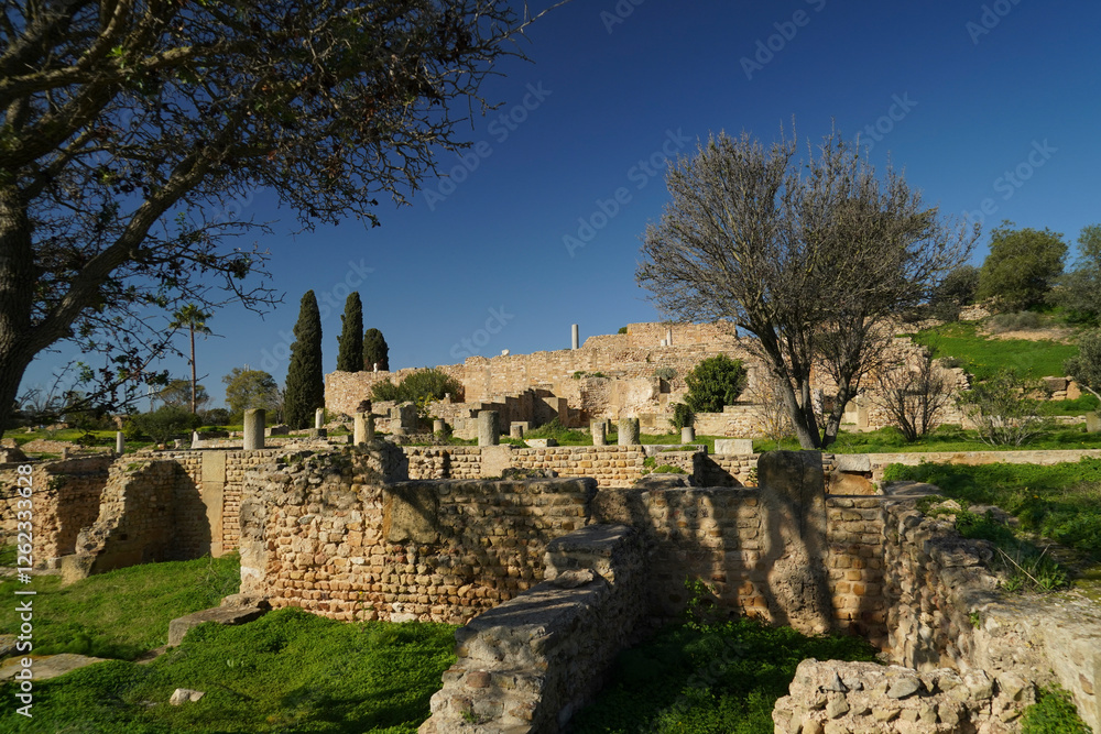 Obraz premium Il complesso archeologico con i resti dell'antica città punica di Cartagine. TUNISIA, Area archeologica di Cartagine. Cartagine, Tunisia, Nord Africa