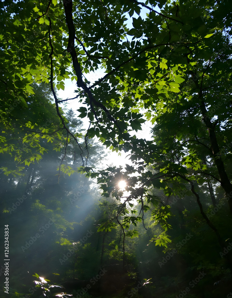 Obraz premium rays of light