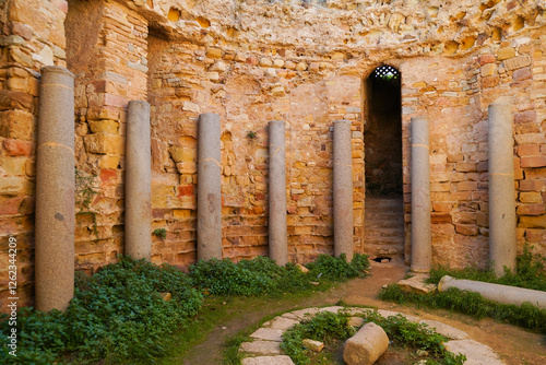 Il complesso archeologico con i resti della Rotonda di Damous El Karita, Cartagine, TUNISIA, Area archeologica di Cartagine,. Cartagine, Tunisia, Nord Africa photo