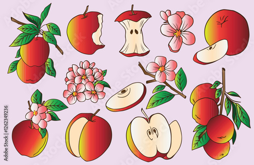 red apples packaging design templates with leaves flowers and slice of apple half eaten apple and  realistic style vector illustration set on light pink background