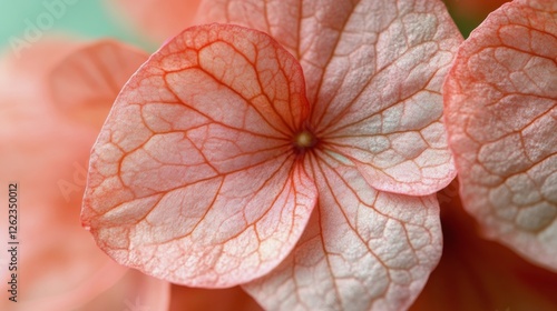Delicate pink flower with intricate petal details in soft natural light durin...