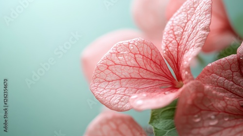 Delicate pink flower with intricate petal details in soft natural light durin...
