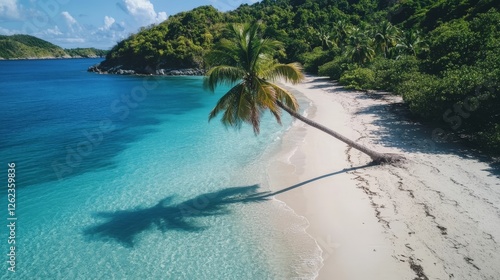 Beautiful tropical beach with palm tree leaning over clear blue water at midday