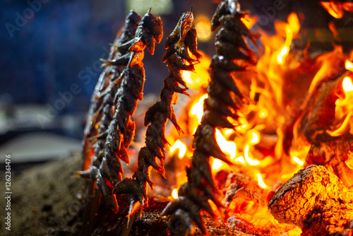 sardines and fish on the fire pierced with a sword, typical of Malaga, they are called espetos