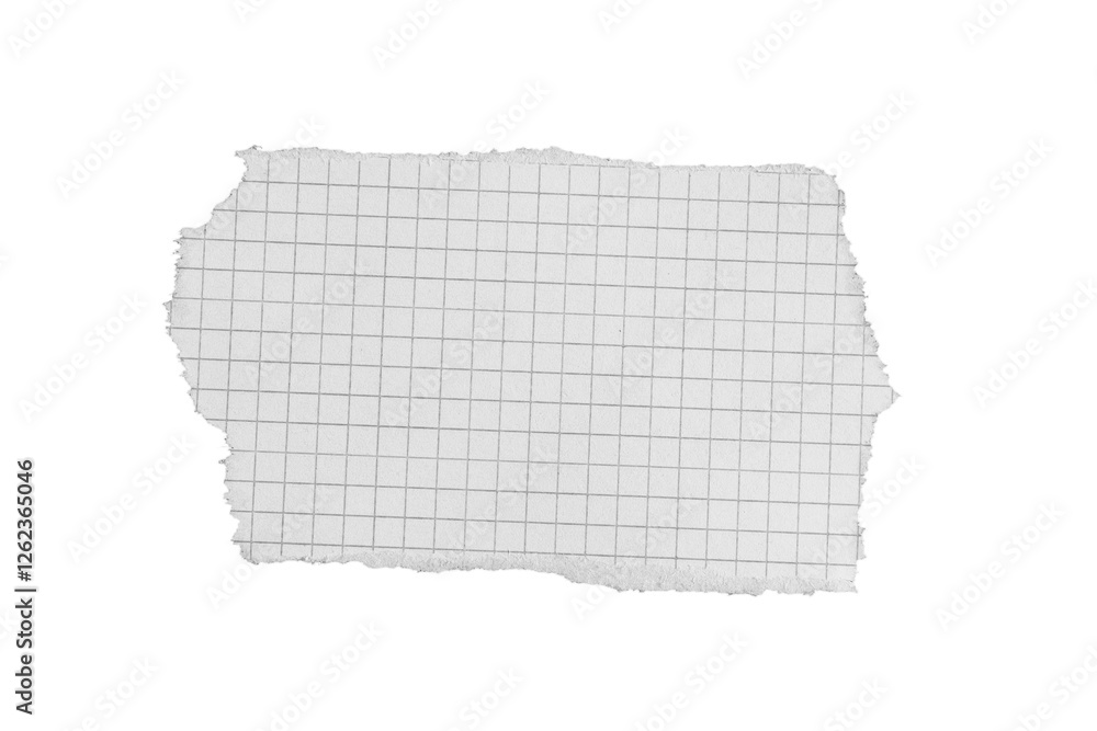 a torn piece of paper on a transparent background a torn piece of paper on a transparent background