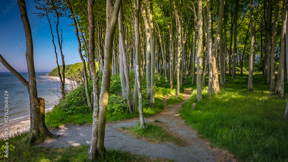 Fototapeta premium Strand Nonnevitz - Insel Rügen