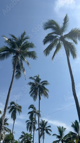 Wallpaper Mural Palmas que abraza la playa en un cielo azul que hace sentir la brisa del mar.  Torontodigital.ca